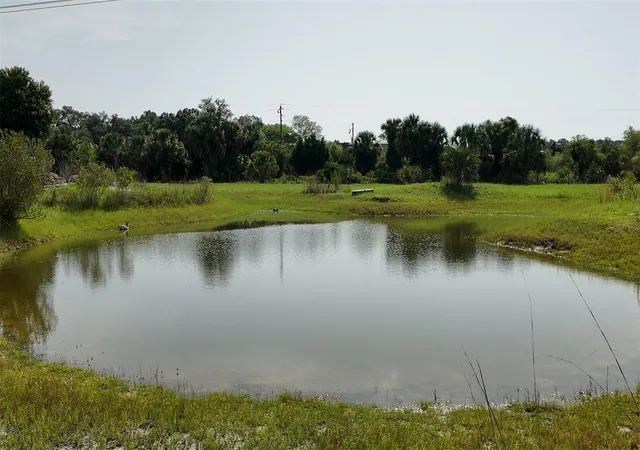Photo 4 of Land for sale at 345 Trotting Trl, Osteen, FL 32764 | MLS# O6426323 | Listing updated on 2026-09-01