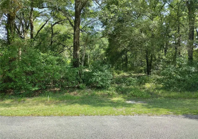 1st image of 260 W Virginia Ave, Deland, FL 32720 | MLS# V4950292