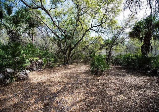 Photo 1 of Land for sale at 392 Manly St, Port Charlotte, FL 33953 | MLS# TB8530624 | Listing updated on 2026-07-19