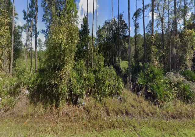 Photo 3 of Land for sale at 00 Ne 64th Avenue, Citra, FL 32113 | MLS# OM728771 | Listing updated on 2026-08-21