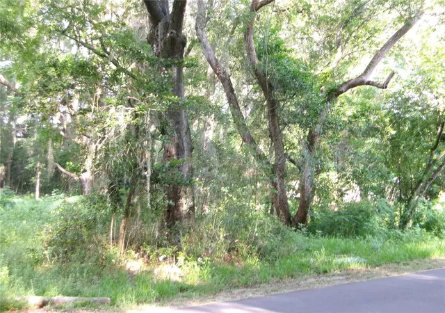 Photo 3 of Land for sale at St Clair St, Wildwood, FL 34785 | MLS# G5115286 | Listing updated on 2026-07-20
