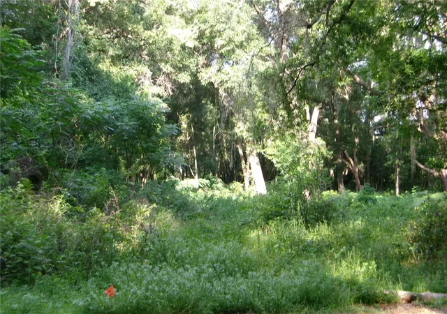Photo 3 of Land for sale at St Clair St, Wildwood, FL 34785 | MLS# G5115286 | Listing updated on 2026-07-20
