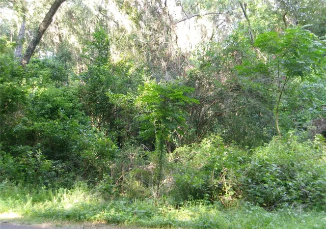Photo 4 of Land for sale at St Clair St, Wildwood, FL 34785 | MLS# G5115286 | Listing updated on 2026-07-20