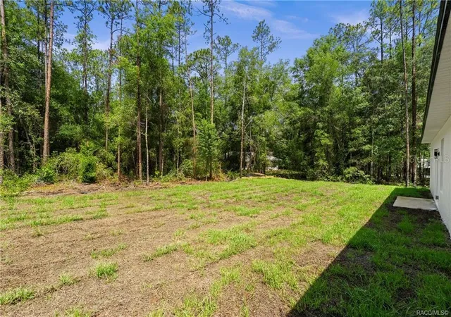28th image of 6097 N Darlington Dr, Dunnellon, FL 34434 | MLS# O6426461