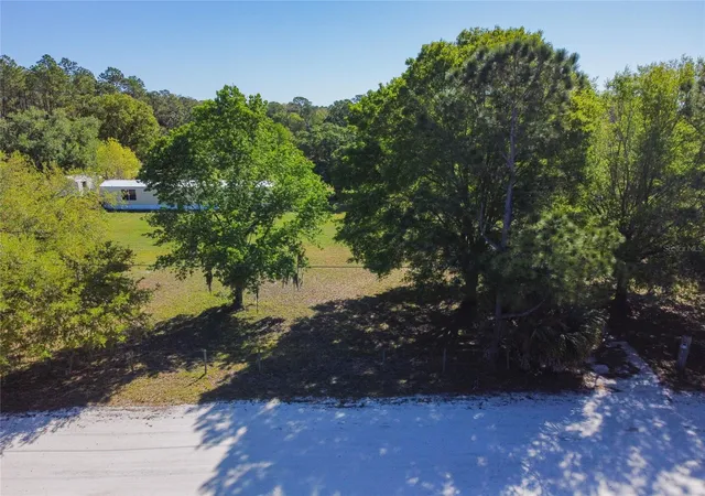 74th image of 3320 Tina Marie Dr, Wesley Chapel, FL 33543 | MLS# TB8530748