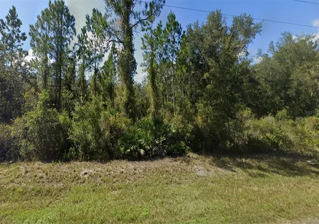 Photo 2 of Land for sale at 0 Ne 64th Avenue, Citra, FL 32113 | MLS# OM728791 | Listing updated on 2026-08-21