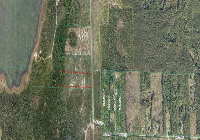 Photo 3 of Land for sale at 0 Ne 64th Avenue, Citra, FL 32113 | MLS# OM728791 | Listing updated on 2026-08-21