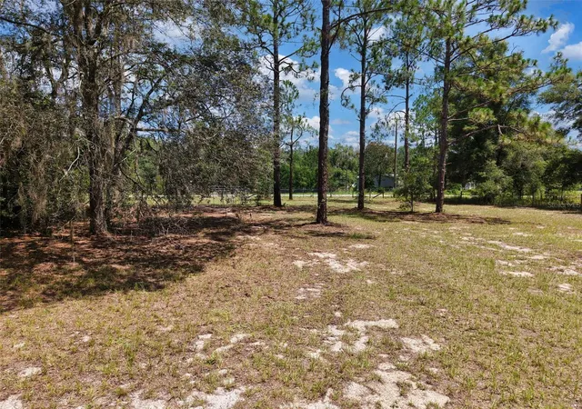 Photo 3 of Land for sale at 54 Ne 841st Avenue, Old Town, FL 32680 | MLS# GC542083 | Listing updated on 2026-08-12