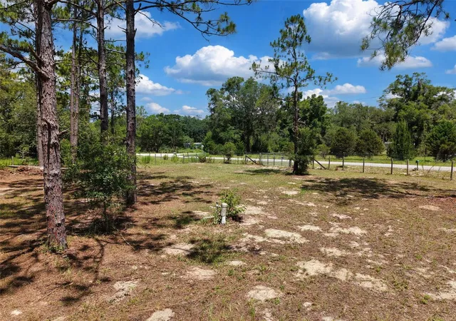 Photo 4 of Land for sale at 54 NE 841st Avenue, Old Town, FL 32680 | MLS# GC542083 | Listing updated on 2026-08-12