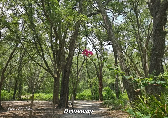 Photo 12 of Land for sale at 17120 Se 130th Avenue, Weirsdale, FL 32195 | MLS# OM728803 | Listing updated on 2026-09-01