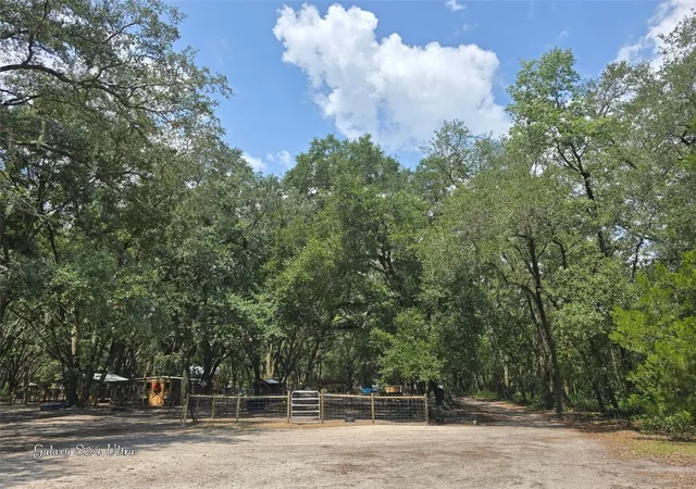 Photo 4 of Land for sale at 17120 SE 130th Avenue, Weirsdale, FL 32195 | MLS# OM728803 | Listing updated on 2026-09-01