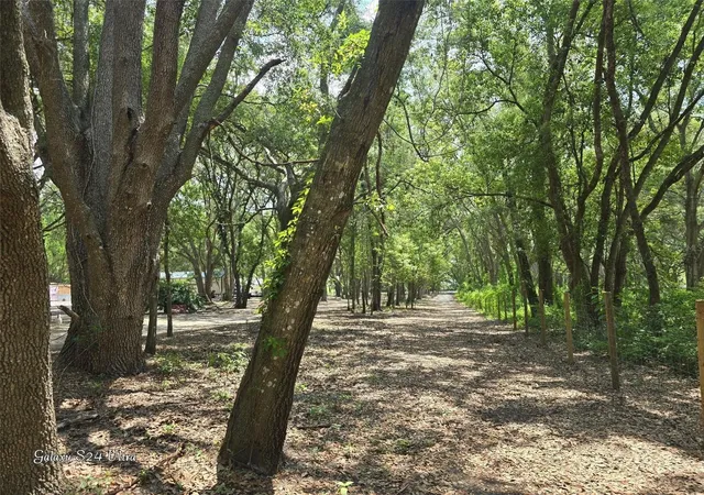 Photo 5 of Land for sale at 17120 SE 130th Avenue, Weirsdale, FL 32195 | MLS# OM728803 | Listing updated on 2026-09-01