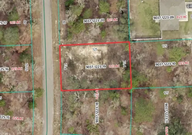 Photo 2 of Land for sale at 19 Fisher Ln Trak, Ocklawaha, FL 32179 | MLS# O6426490 | Listing updated on 2026-08-26