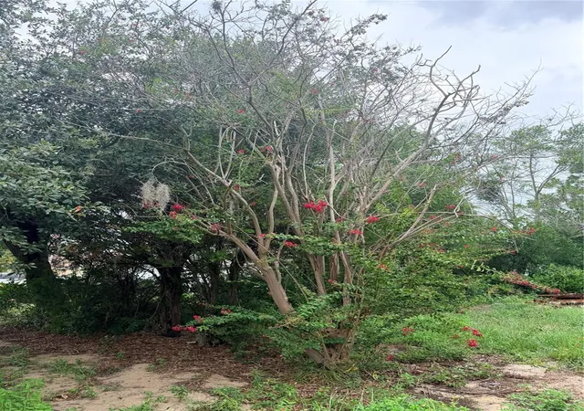 Photo 2 of Land for sale at 11411 Sagamore St, Spring Hill, FL 34609 | MLS# W7887803 | Listing updated on 2026-07-21