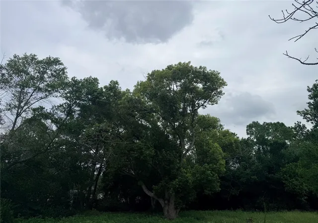 Photo 3 of Land for sale at 11411 Sagamore St, Spring Hill, FL 34609 | MLS# W7887803 | Listing updated on 2026-07-21