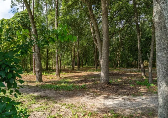 Photo 1 of Land for sale at 40 Deer Trl Cir, Bronson, FL 32621 | MLS# OM728811 | Listing updated on 2026-08-05