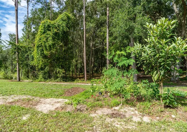 Photo 25 of Land for sale at 40 Deer Trl Cir, Bronson, FL 32621 | MLS# OM728811 | Listing updated on 2026-08-05