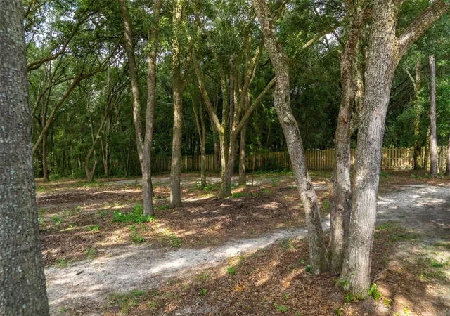 Photo 4 of Land for sale at 40 Deer Trl Cir, Bronson, FL 32621 | MLS# OM728811 | Listing updated on 2026-08-05