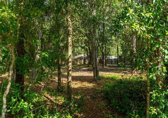 Photo 5 of Land for sale at 40 Deer Trl Cir, Bronson, FL 32621 | MLS# OM728811 | Listing updated on 2026-08-05