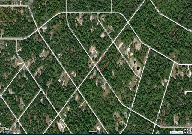 2nd image of 11645 W Dragonhead Dr, Crystal River, FL 34428 | MLS# A4700501