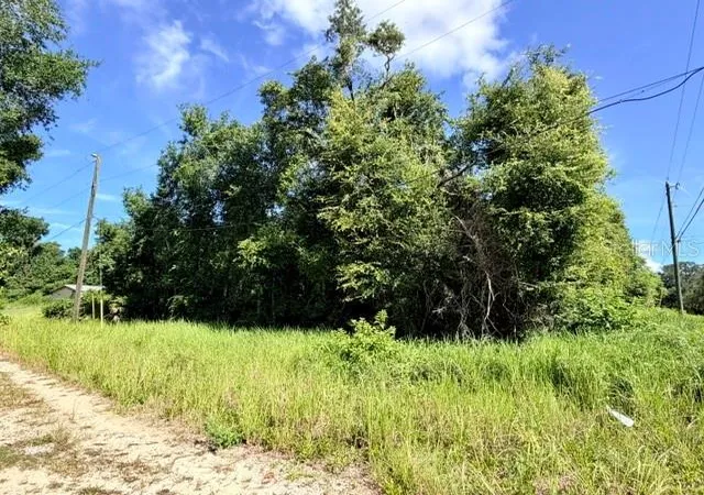 Photo 1 of Land for sale at Ne 249th Court, Fort Mc Coy, FL 32134 | MLS# O6426555 | Listing updated on 2026-07-29