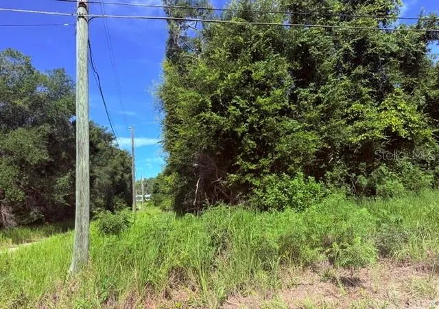 Photo 3 of Land for sale at Ne 249th Court, Fort Mc Coy, FL 32134 | MLS# O6426555 | Listing updated on 2026-07-29