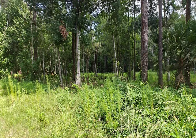 Photo 1 of Land for sale at 8401 Amelia Trl, Kissimmee, FL 34747 | MLS# O6426570 | Listing updated on 2026-09-12