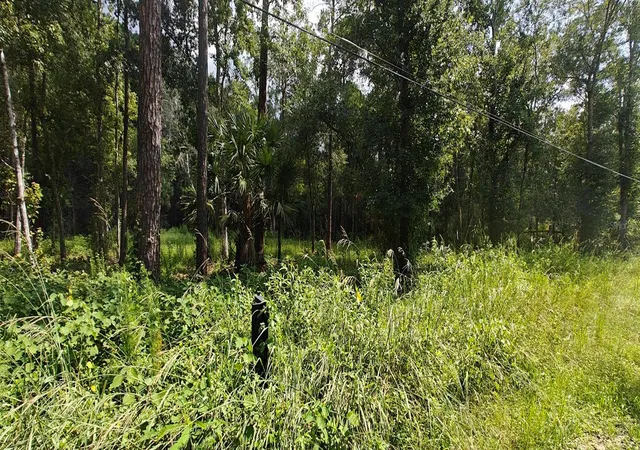 Photo 3 of Land for sale at 8401 Amelia Trl, Kissimmee, FL 34747 | MLS# O6426570 | Listing updated on 2026-09-12