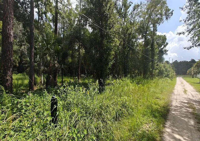 Photo 3 of Land for sale at 8401 Amelia Trl, Kissimmee, FL 34747 | MLS# O6426570 | Listing updated on 2026-09-12