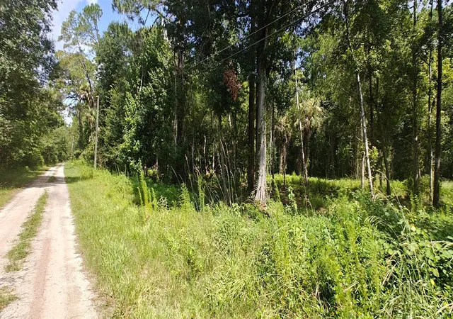 Photo 4 of Land for sale at 8401 Amelia Trl, Kissimmee, FL 34747 | MLS# O6426570 | Listing updated on 2026-09-12