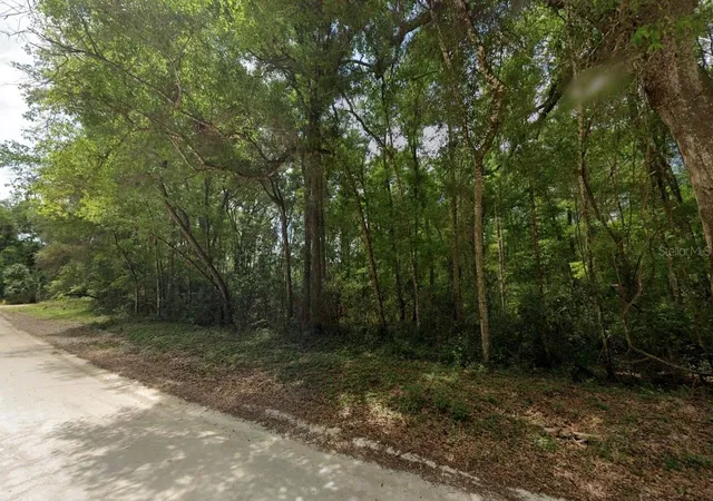 Photo 2 of Land for sale at 1200 Ne 644th Street, Old Town, FL 32680 | MLS# A4700526 | Listing updated on 2026-07-21