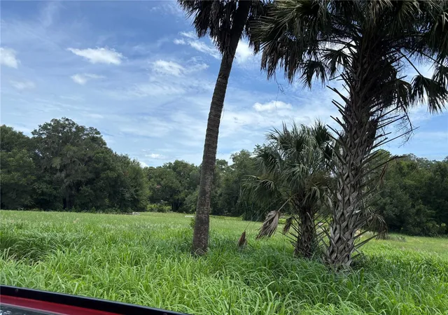 Photo 2 of Land for sale at Northeast 23, Citra, FL 32113 | MLS# OM728839 | Listing updated on 2026-07-21