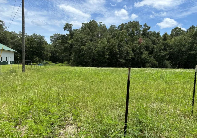 Photo 3 of Land for sale at Northeast 23, Citra, FL 32113 | MLS# OM728839 | Listing updated on 2026-07-21