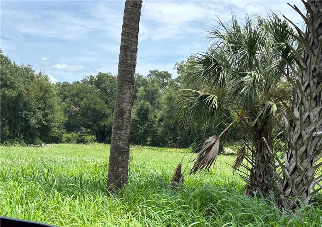 Photo 4 of Land for sale at Northeast 23, Citra, FL 32113 | MLS# OM728839 | Listing updated on 2026-07-21
