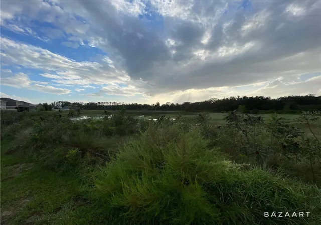 Photo 31 of Single family home for sale at 1349 Sawgrass Hammock Ln, DAVENPORT, FL 33837 | MLS# O6426614 | Listing updated on 2026-10-12