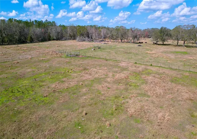 100th image of 14890 Cr 757, Webster, FL 33597 | MLS# TB8530996