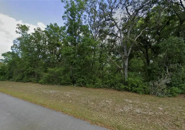 Photo 2 of Land for sale at 0 Se 59th Place, Ocklawaha, FL 32179 | MLS# TB8531027 | Listing updated on 2026-07-21
