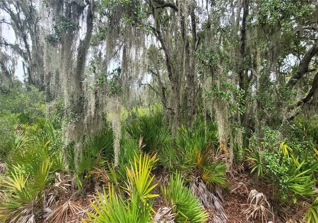 Photo 1 of Land for sale at 200 Red Fox Dr, Sebring, FL 33876 | MLS# TB8531042 | Listing updated on 2026-08-05