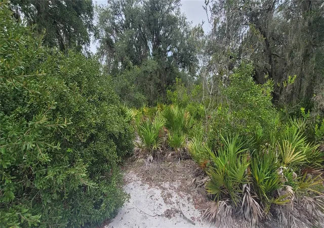 Photo 2 of Land for sale at 200 Red Fox Dr, Sebring, FL 33876 | MLS# TB8531042 | Listing updated on 2026-08-05