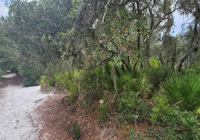 Photo 3 of Land for sale at 200 Red Fox Dr, Sebring, FL 33876 | MLS# TB8531042 | Listing updated on 2026-08-05