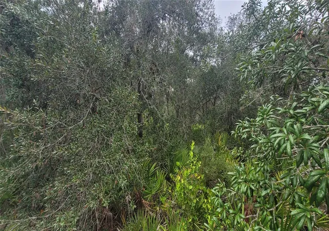 Photo 4 of Land for sale at 200 Red Fox Dr, Sebring, FL 33876 | MLS# TB8531042 | Listing updated on 2026-08-05