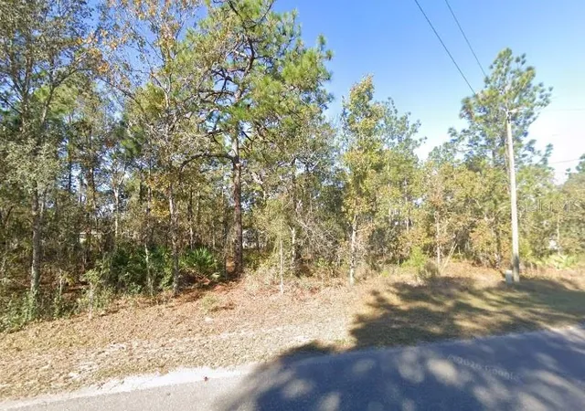 Photo 2 of Land for sale at 9037 1222 05, Ocklawaha, FL 32179 | MLS# TB8531047 | Listing updated on 2026-07-23