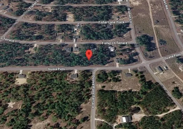 Photo 3 of Land for sale at 9037 1222 05, Ocklawaha, FL 32179 | MLS# TB8531047 | Listing updated on 2026-07-23