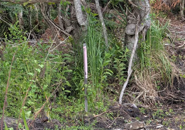 Photo 1 of Land for sale at 18847 Jefferson Ave, Orlando, FL 32820 | MLS# O6426733 | Listing updated on 2026-08-30