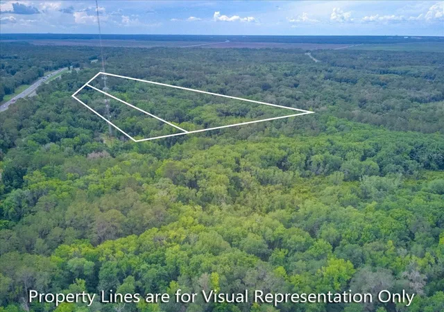 Photo 2 of Land for sale at 100 Se 134th Avenue, Micanopy, FL 32667 | MLS# GC542112 | Listing updated on 2026-08-11