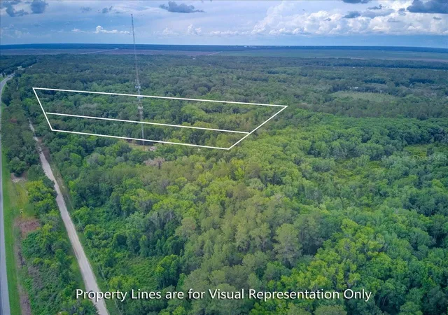 Photo 3 of Land for sale at 100 Se 134th Avenue, Micanopy, FL 32667 | MLS# GC542112 | Listing updated on 2026-08-11