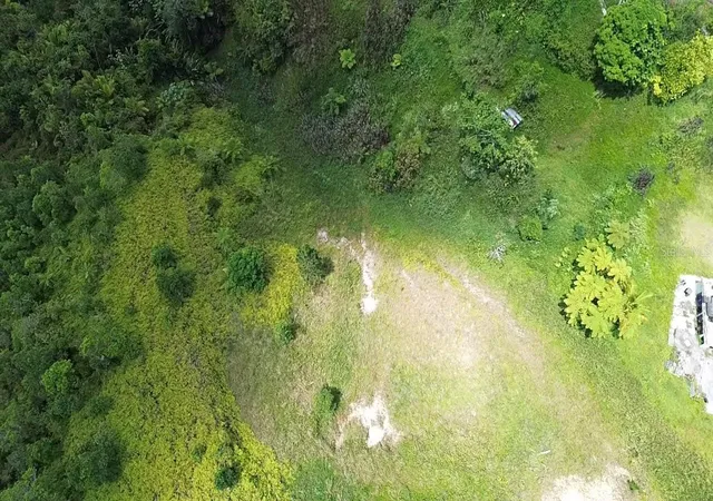 Photo 3 of Land for sale at Pr 785 Km 50, Aguas Buenas, PR 00703 | MLS# PR9122891 | Listing updated on 2026-09-23