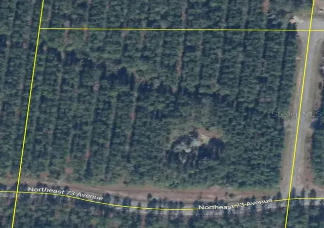 Photo 1 of Land for sale at Tbd, Melrose, FL 32666 | MLS# TB8531160 | Listing updated on 2026-08-26