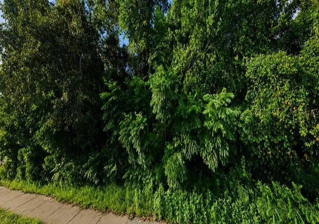 Photo 2 of Land for sale at Spring Hl Dr, Spring Hill, FL 34608 | MLS# OM728898 | Listing updated on 2026-08-21