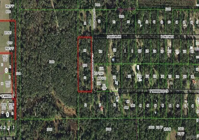 Photo 4 of Sale Pending at 5236 N Oldwood Pt, Hernando, FL 34442 | MLS# TB8531216 | Listing updated on 2026-10-06